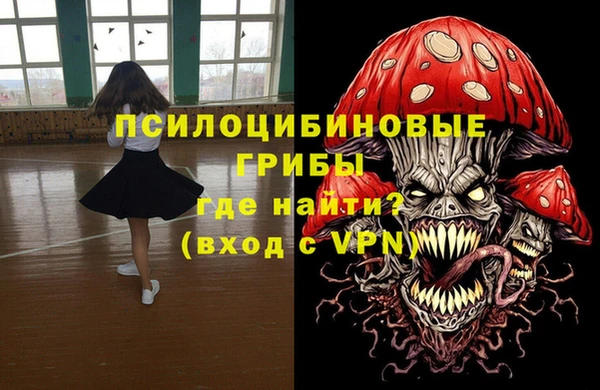 spice Армянск
