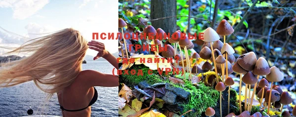 дживик Арсеньев