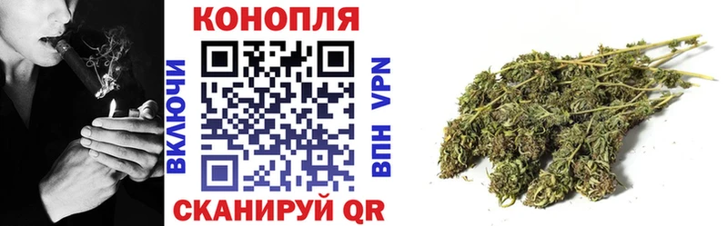 где купить   Руза  Канабис White Widow 